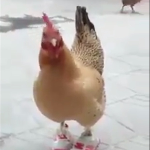 Meet your Posher, Melanie - Picture 1 of 1